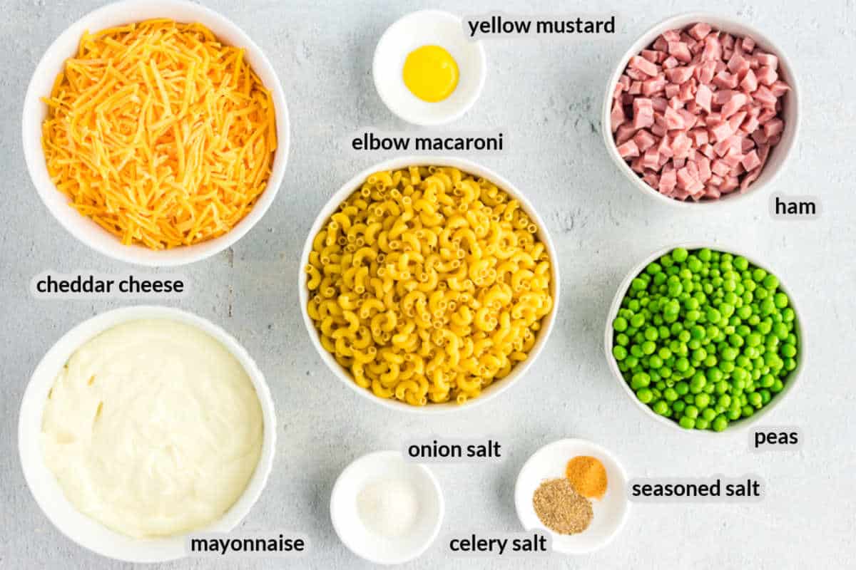 Macaroni Salad Recipe Ingredients