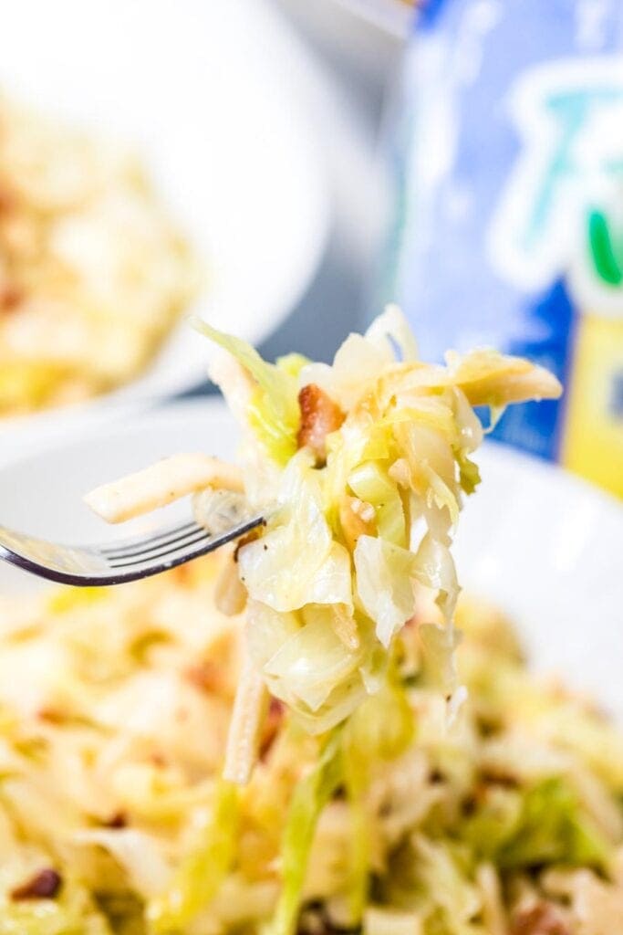 Cabbage and Noodles on fork