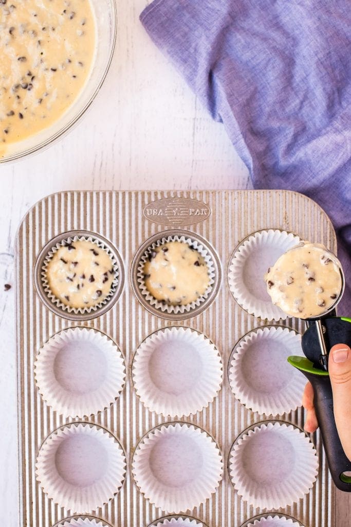 Scoop full of muffin batter scooping into muffin tin with liners