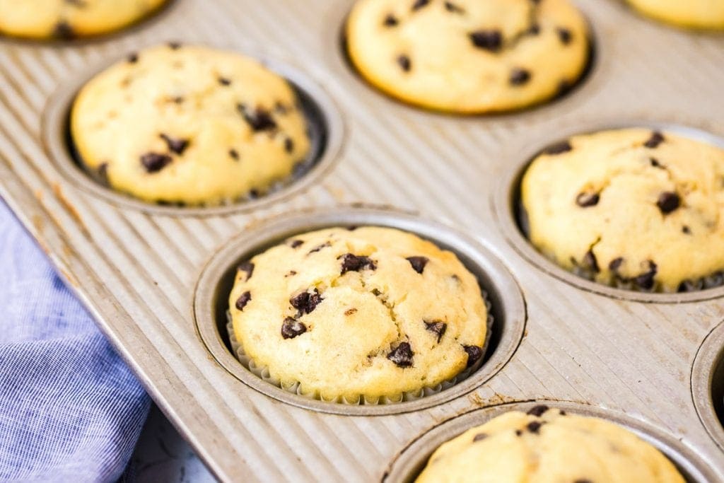 Chocolate Chip Muffins