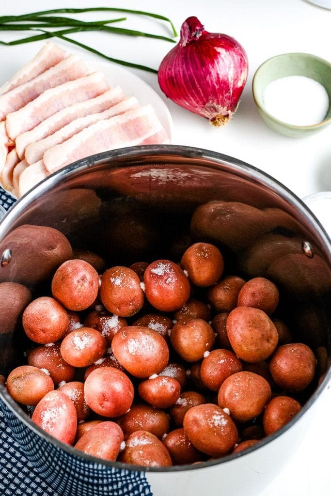 Stock pot with red potatoes in it sprinkled with salt