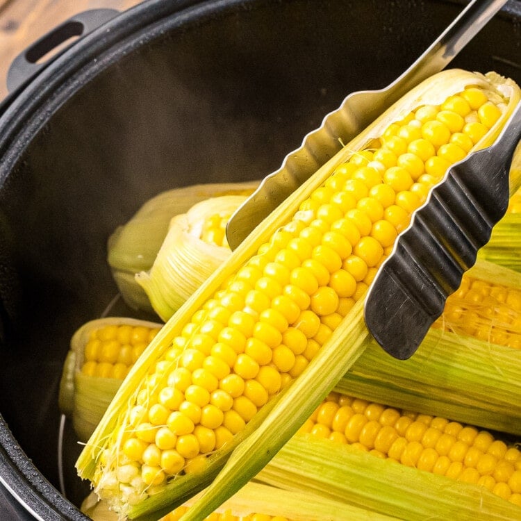Tongs lifting a piece of corn on the cob with husk on out of Instant Pot.