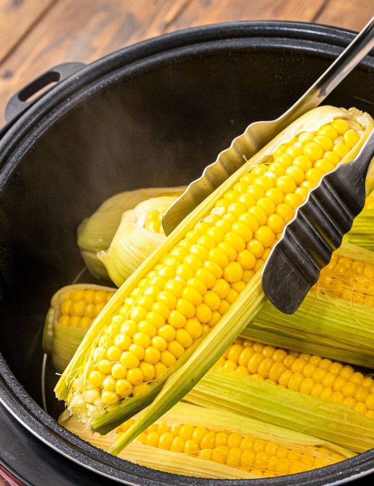 Tongs lifting a piece of corn on the cob with husk on out of Instant Pot.