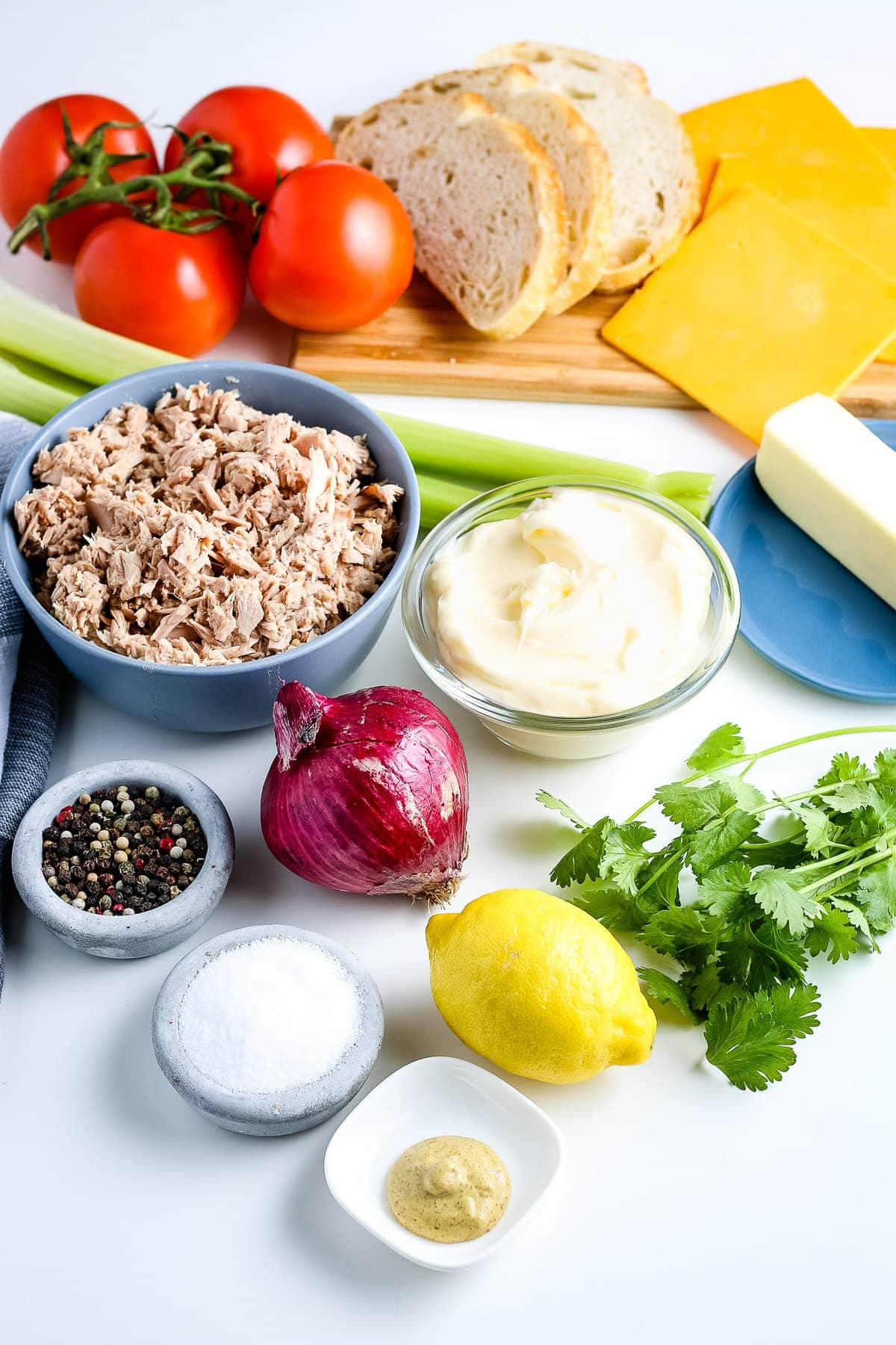 Ingredients on white background to make tuna Melts