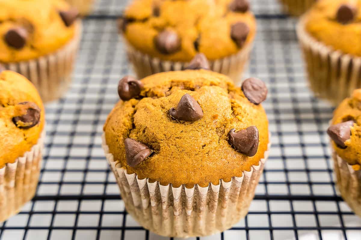 Chocolate Chip Pumpkin Muffins on cooling rack