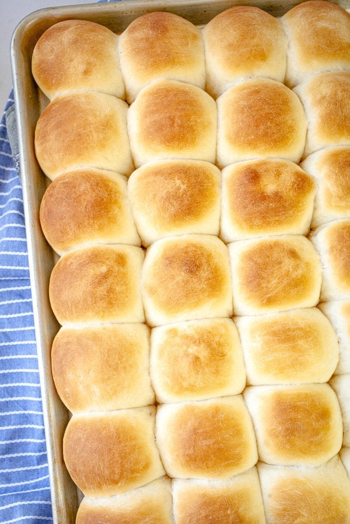 Overhead image of baked dinner rolls on baking sheet.