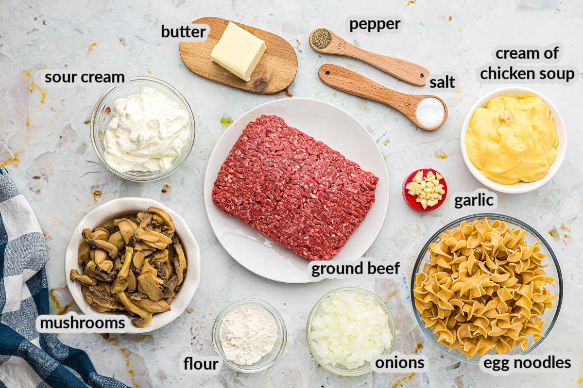 Hamburger Stroganoff Ingredients overhead view on light background