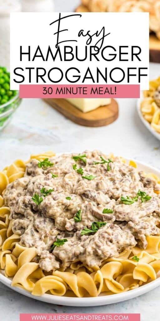 Hamburger Stroganoff JET Pin Image