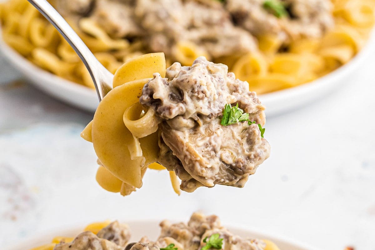 Hamburger Stroganoff on a fork with egg noodles.