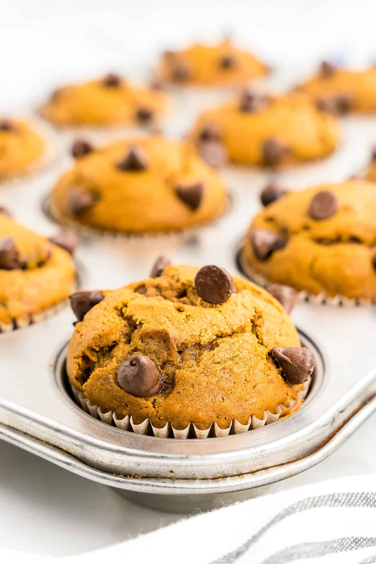 Baked chocolate chip pumpkin muffins in muffin tin