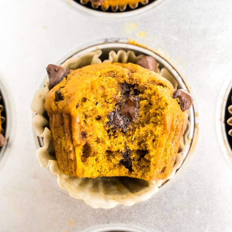 Pumpkin Chocolate Chip Muffins in muffin tin with bite out of one
