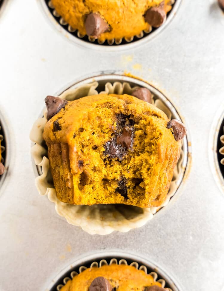 Pumpkin Chocolate Chip Muffins in muffin tin with bite out of one