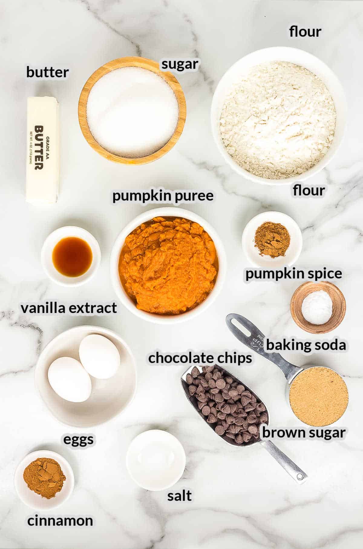 Overhead image of Pumpkin Chocolate Chip Muffins Ingredients