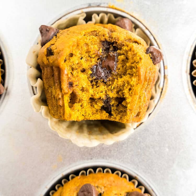 Pumpkin Chocolate Chip Muffins Square cropped image