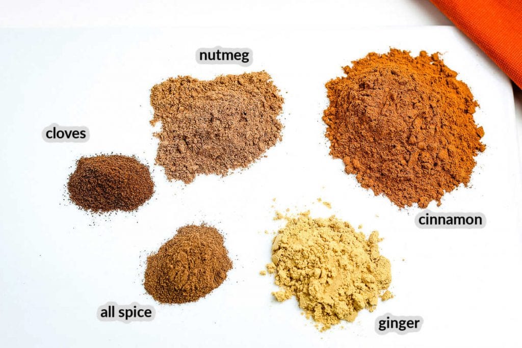 Pumpkin Pie Spice Ingredients on white background