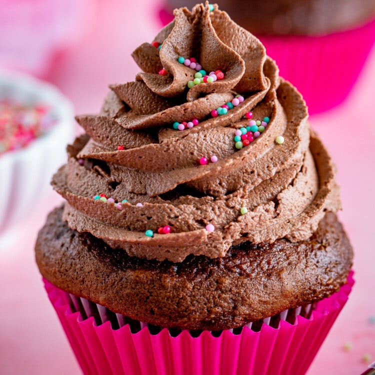 Chocolate Cupcake topped with Chocolate Buttercream Frosting with sprinkles.