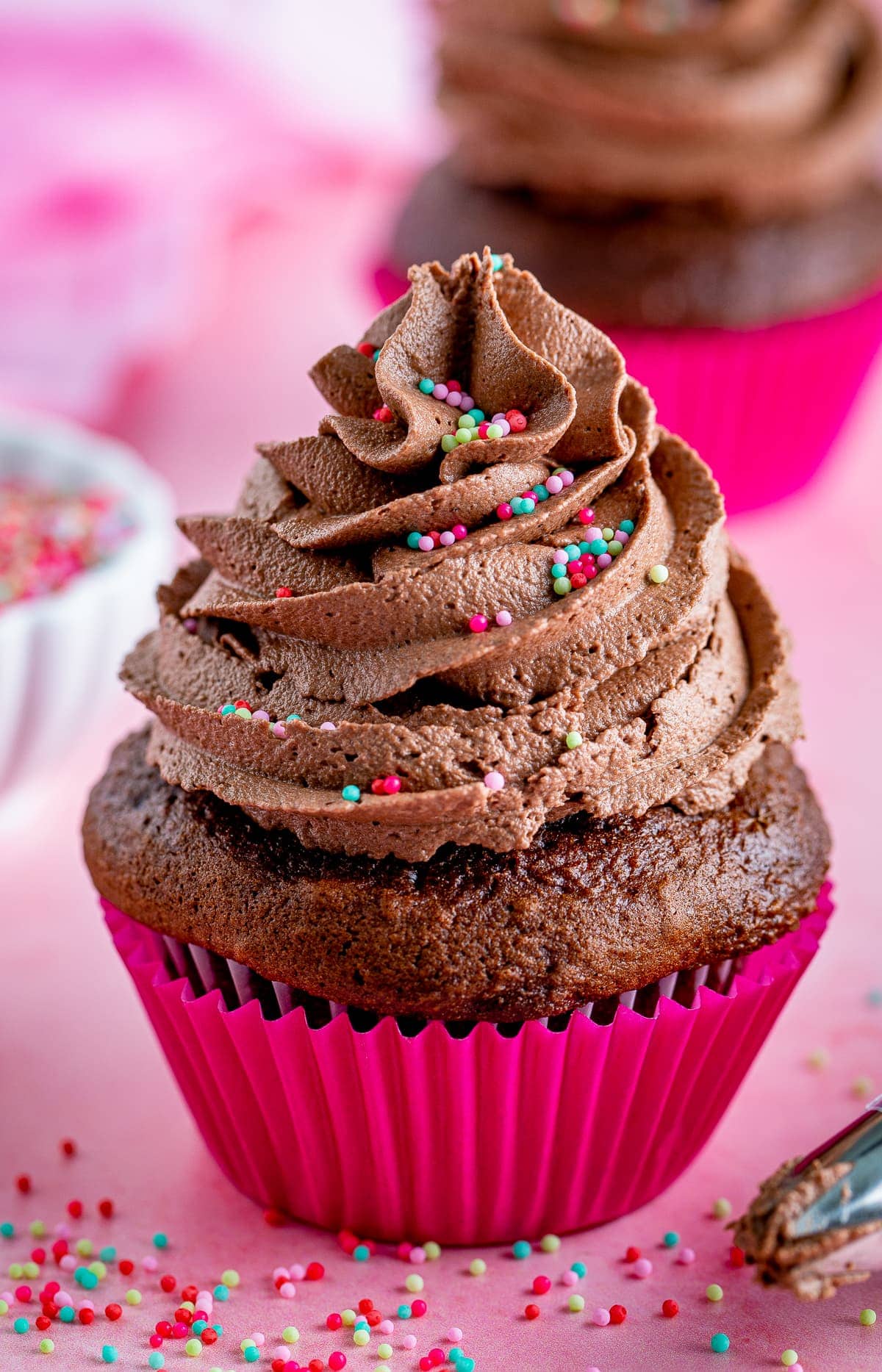 Chocolate Cupcake topped with Chocolate Buttercream Frosting with sprinkles.