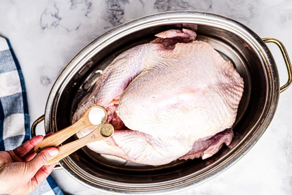 Roast Turkey in Pan with salt and pepper in teaspoons