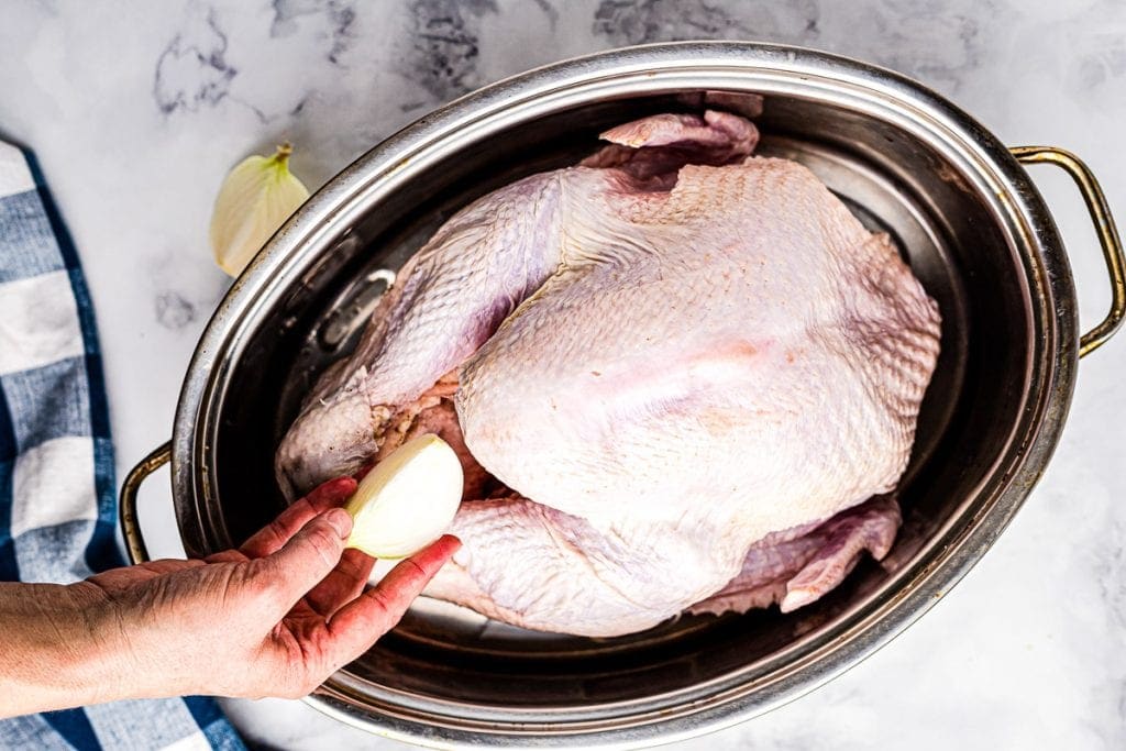 Roast Turkey in Pan with onion being added to cavity