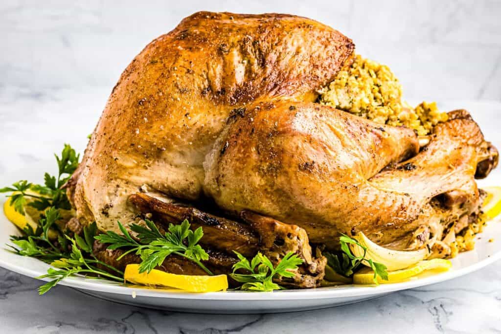 Easy Roast Turkey on plate