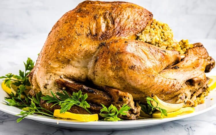 Easy Roast Turkey on plate