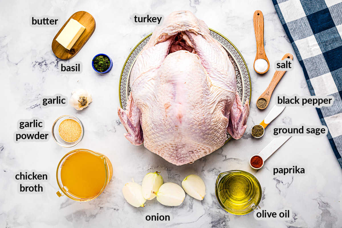 Overhead image of Roast Turkey Ingredients