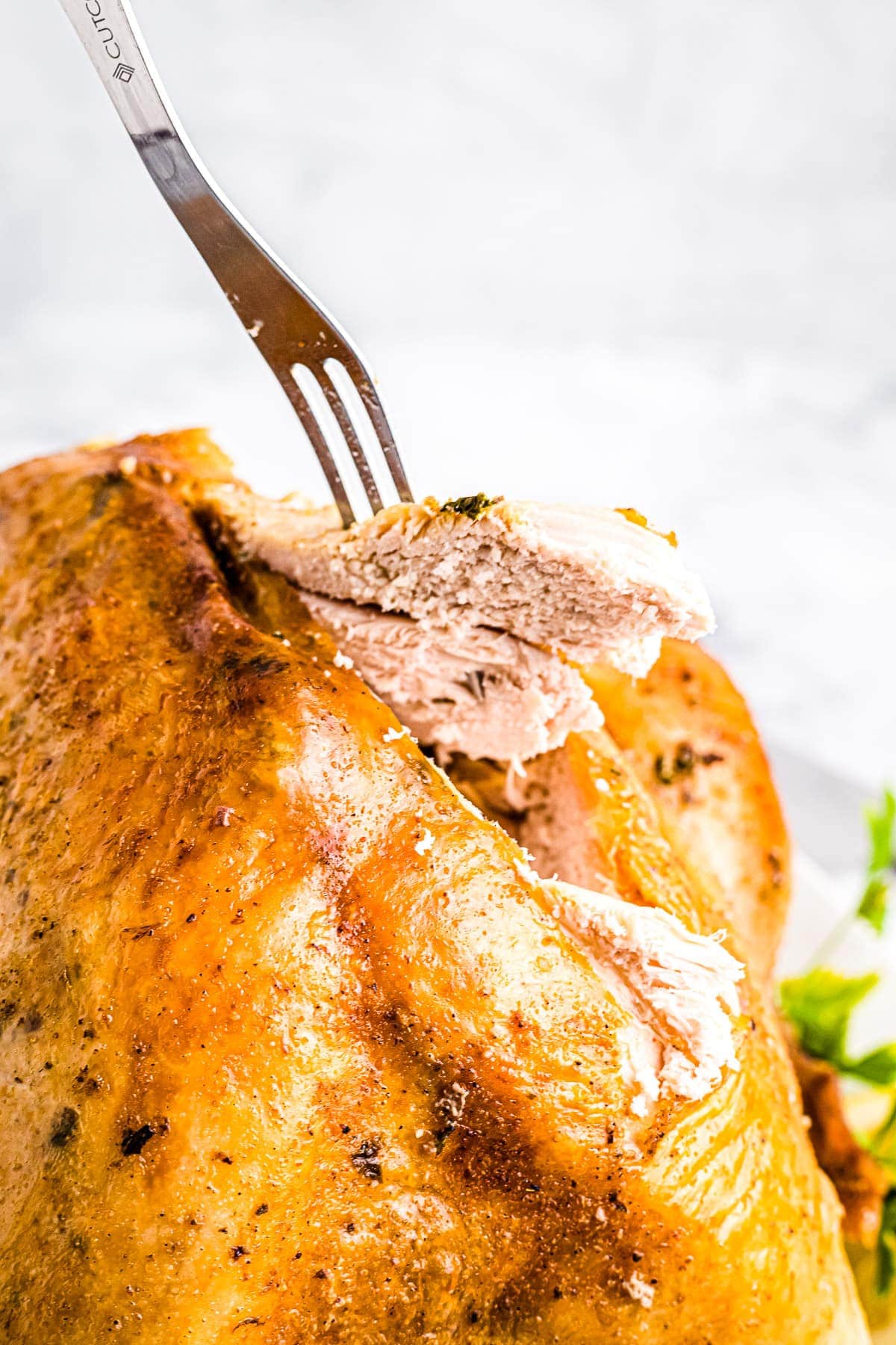 A fork pulling a slice of turkey out of roasted turkey