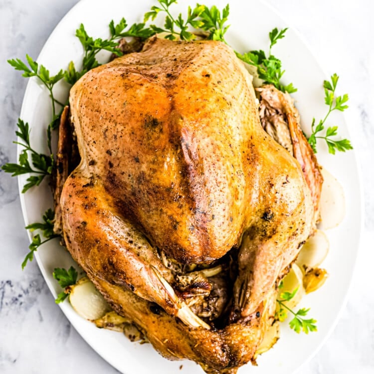 Easy Thanksgiving Menu Recipes! - Julie's Eats & Treats