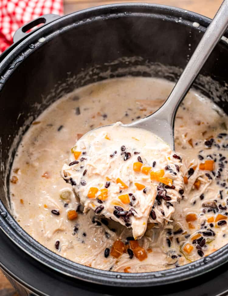 Instant Pot with a ladle scooping Chicken Wild Rice Soup out of it.