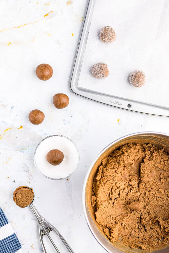 Overhead image of molasses cookie dough and cookie scoop