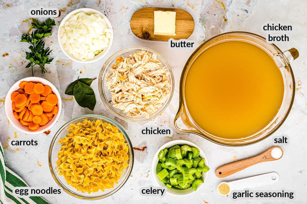 Overhead Image of Chicken Noodle Soup Ingredients