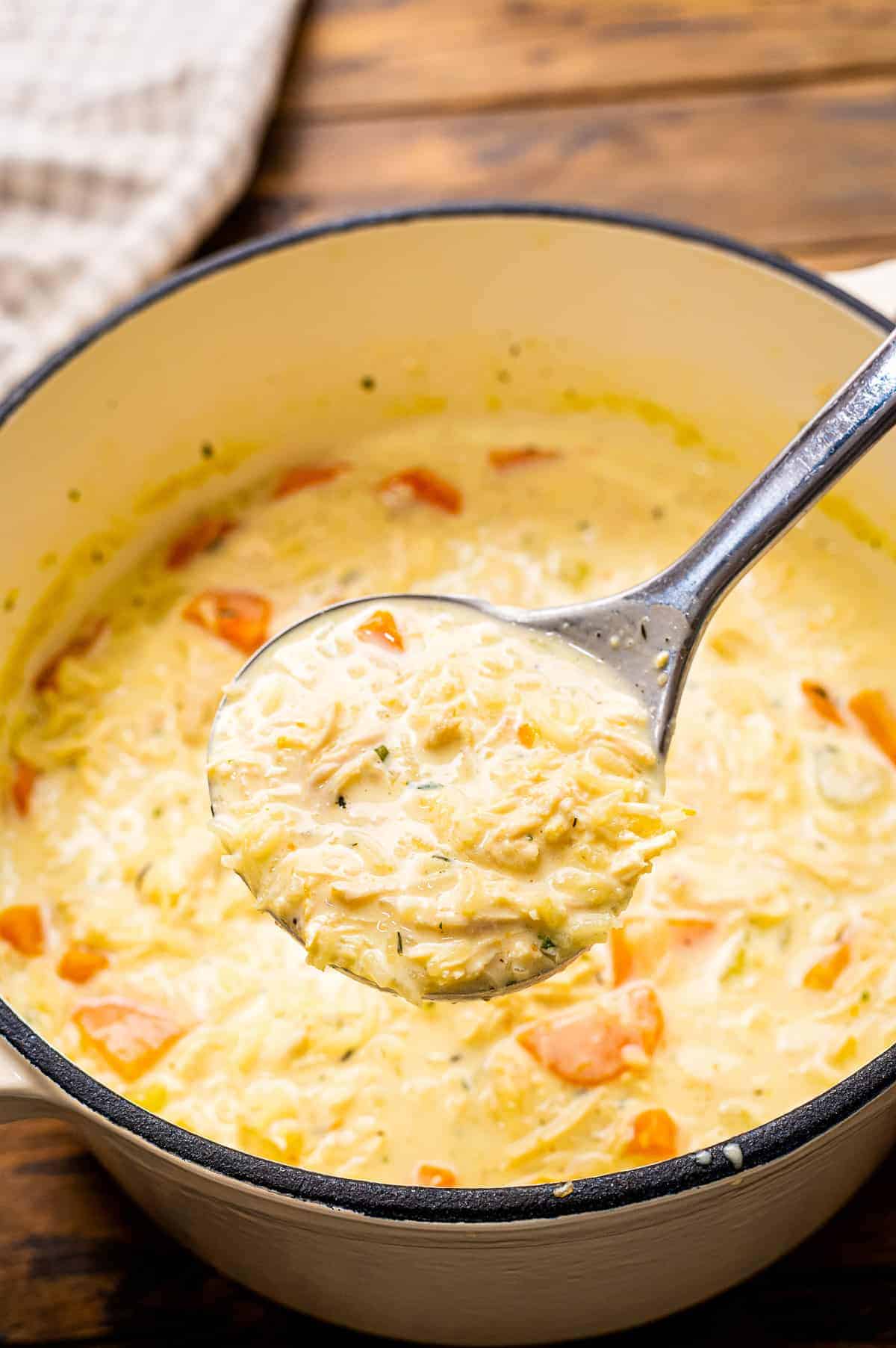 Ladle with Chicken and Rice Soup in it and pot of soup in background