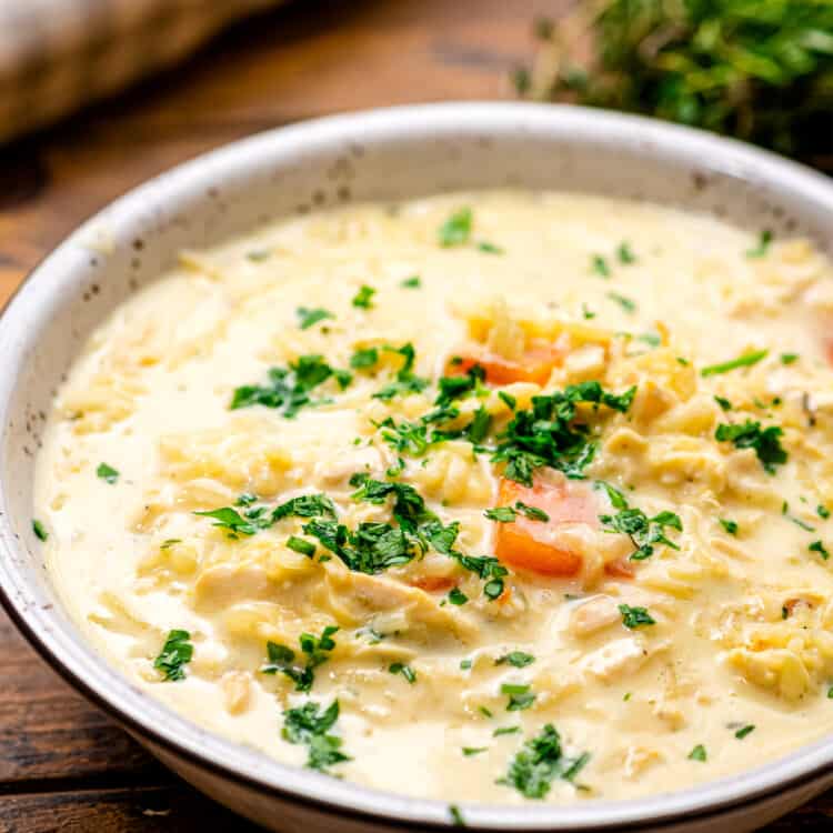 Bowl of Chicken and Wild Rice Soup garnished with chopped parsley