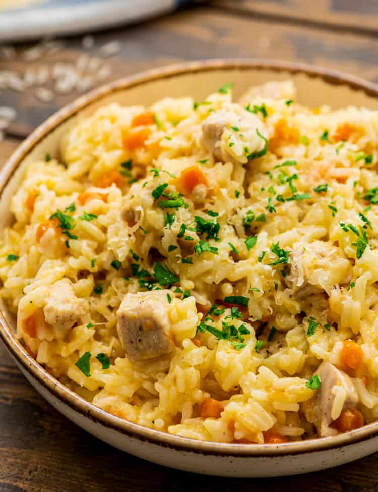 Bowl of Chicken and Rice with carrots topped with chopped parsley
