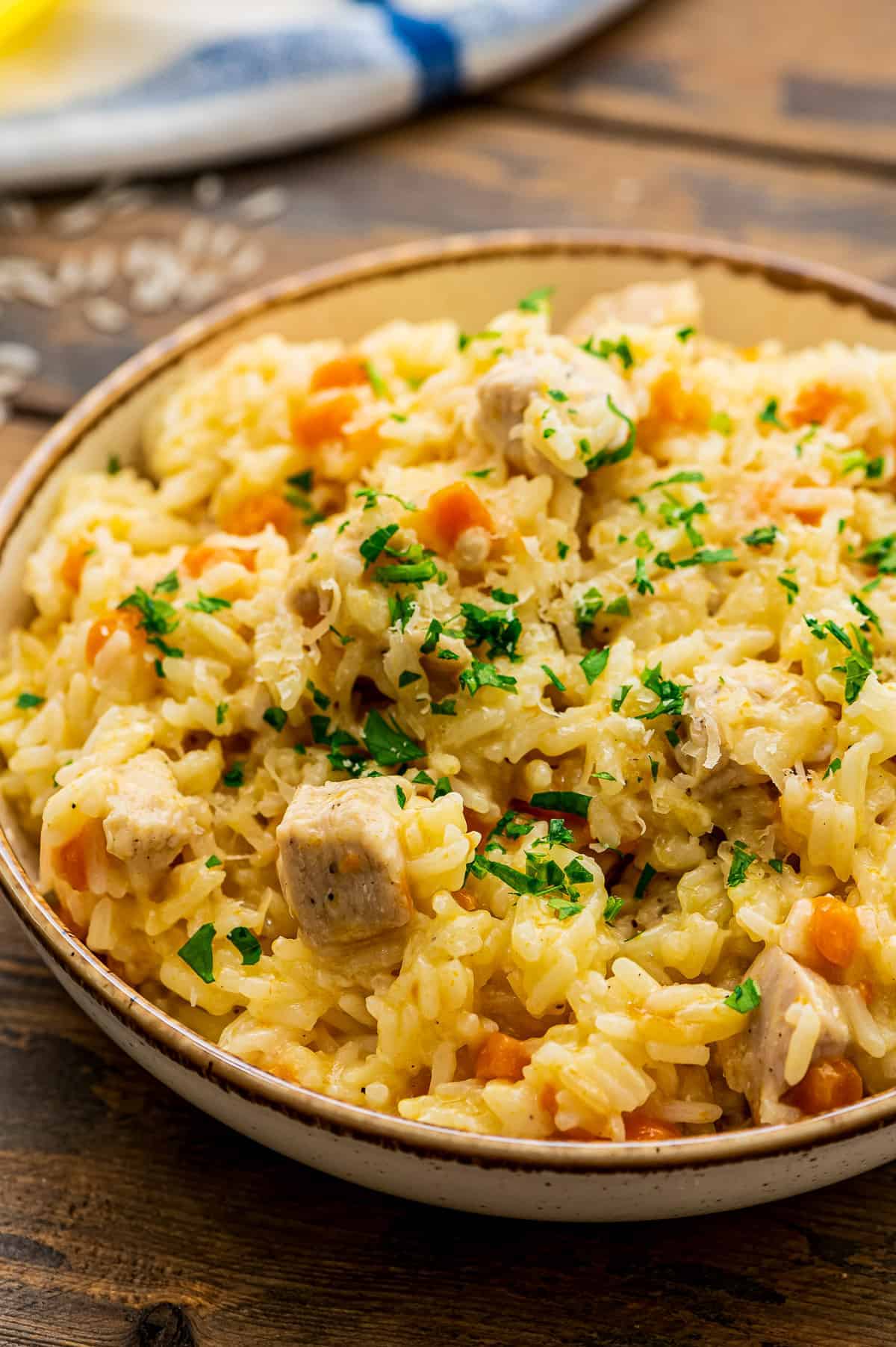 Bowl of Chicken and Rice with carrots topped with chopped parsley