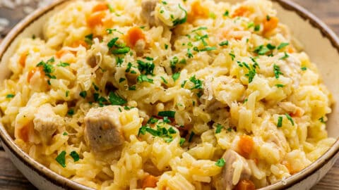 Instant pot easy sales chicken and rice