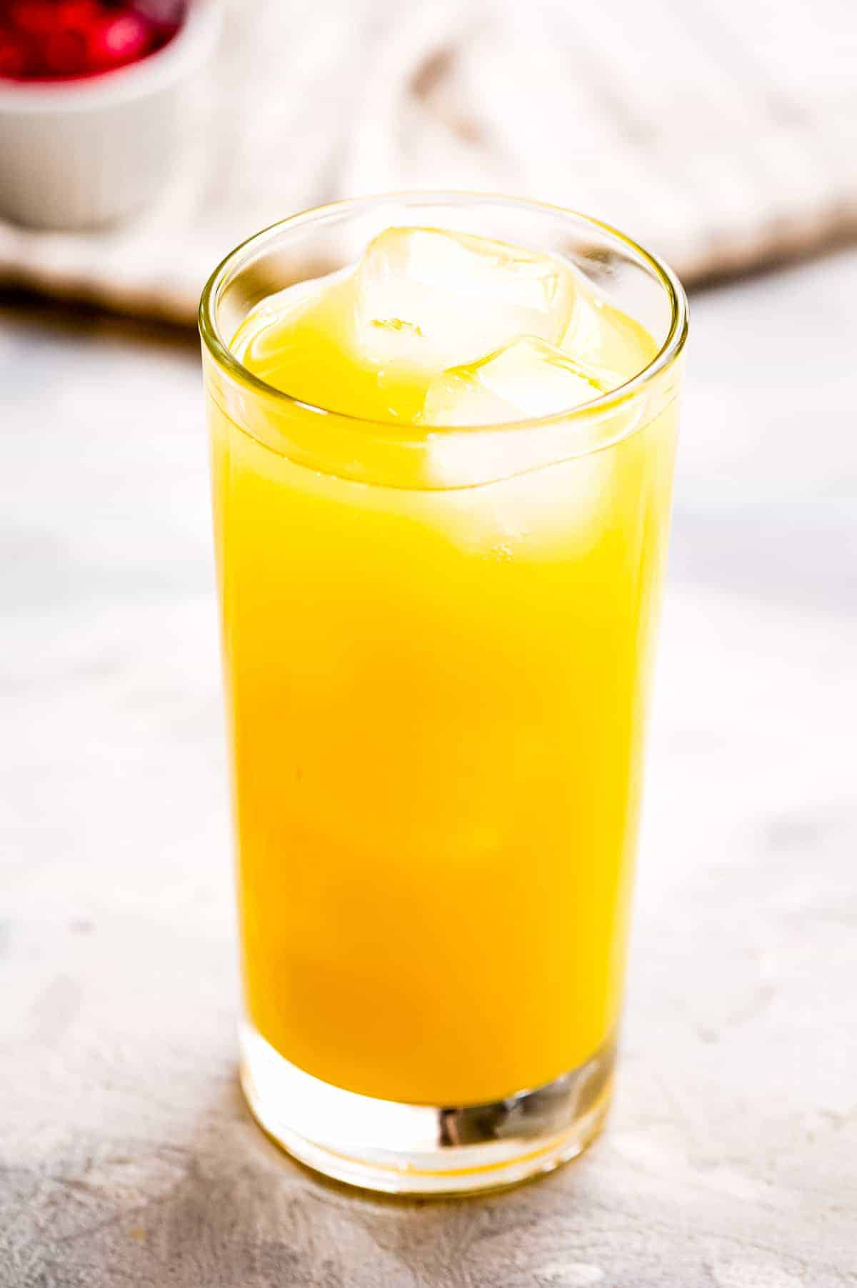 High ball glass with orange juice and ice cubes