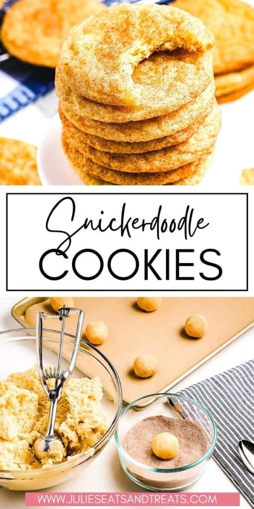 Snickerdoodle Cookies JET Pin Image