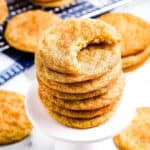 Snickerdoodle Cookies Square Cropped Image