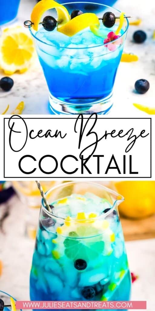 Ocean Breeze Cocktail - Single Serving or Pitcher! - Julie's Eats & Treats ®