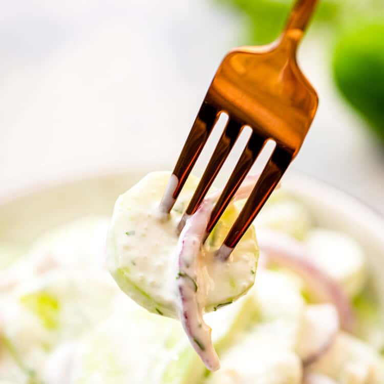 Creamy Cucumber Salad Recipe Square Cropped Image