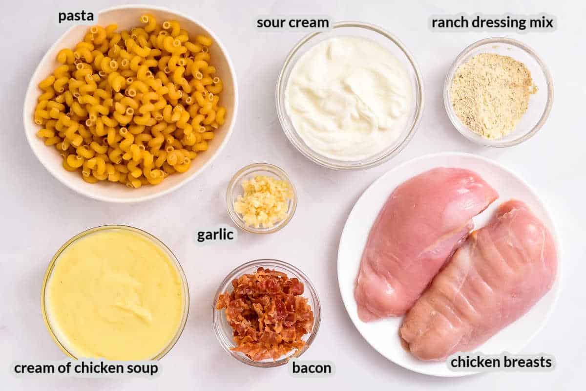 Overhead image of Crock Pot Chicken Bacon Ranch Pasta Ingredients