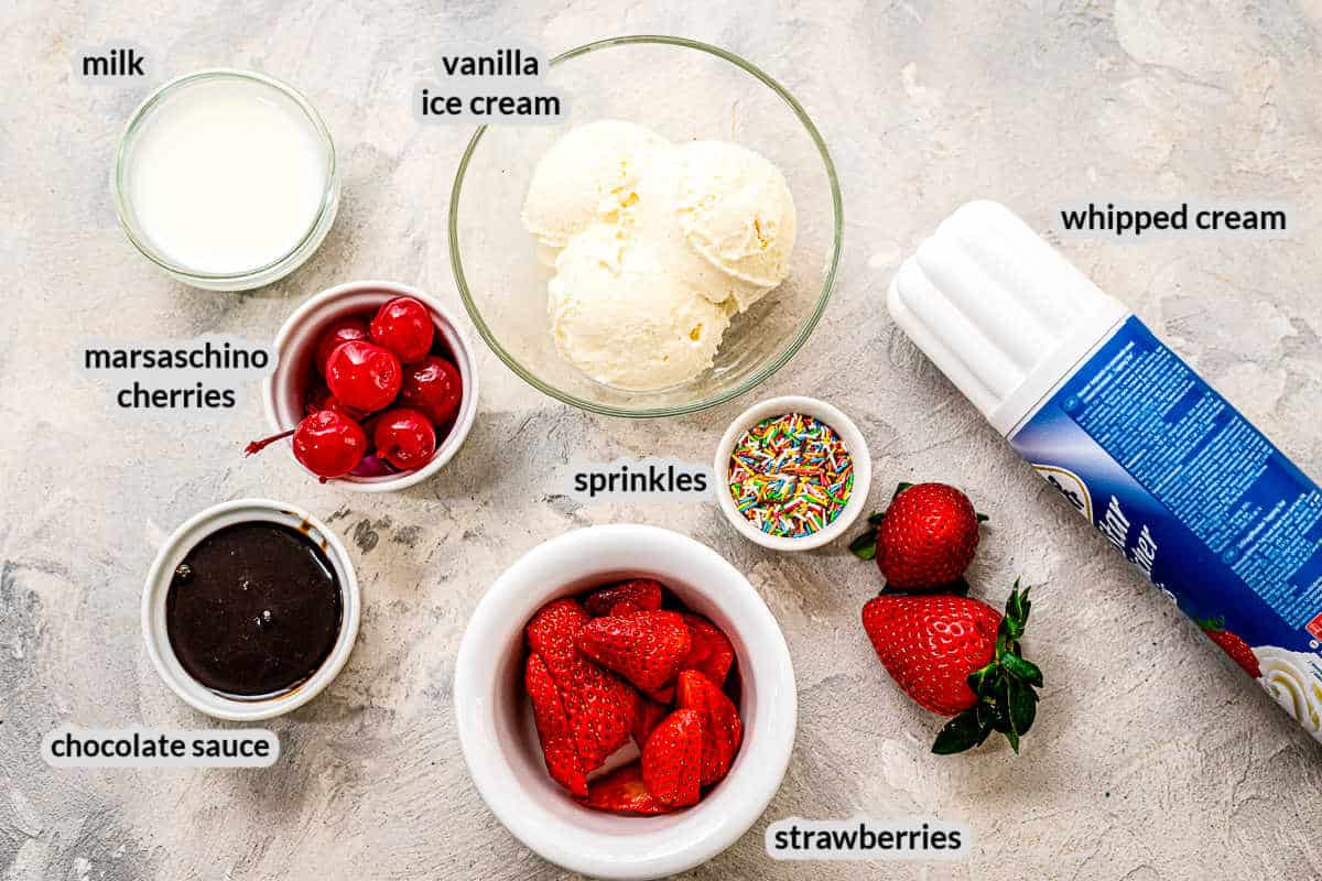 Overhead image of milkshake Ingredients 