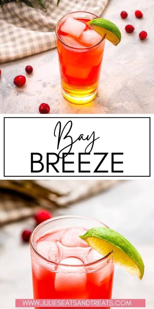 Ocean Breeze Cocktail - Single Serving or Pitcher! - Julie's Eats & Treats ®