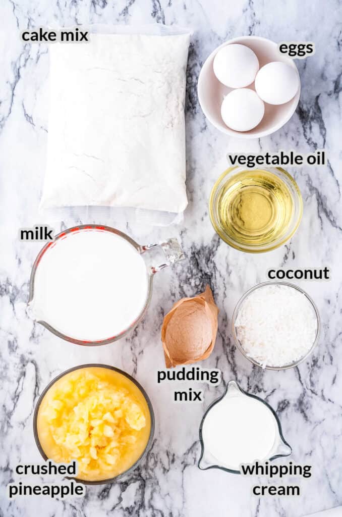 Overhead image of Pineapple Cake Ingredients