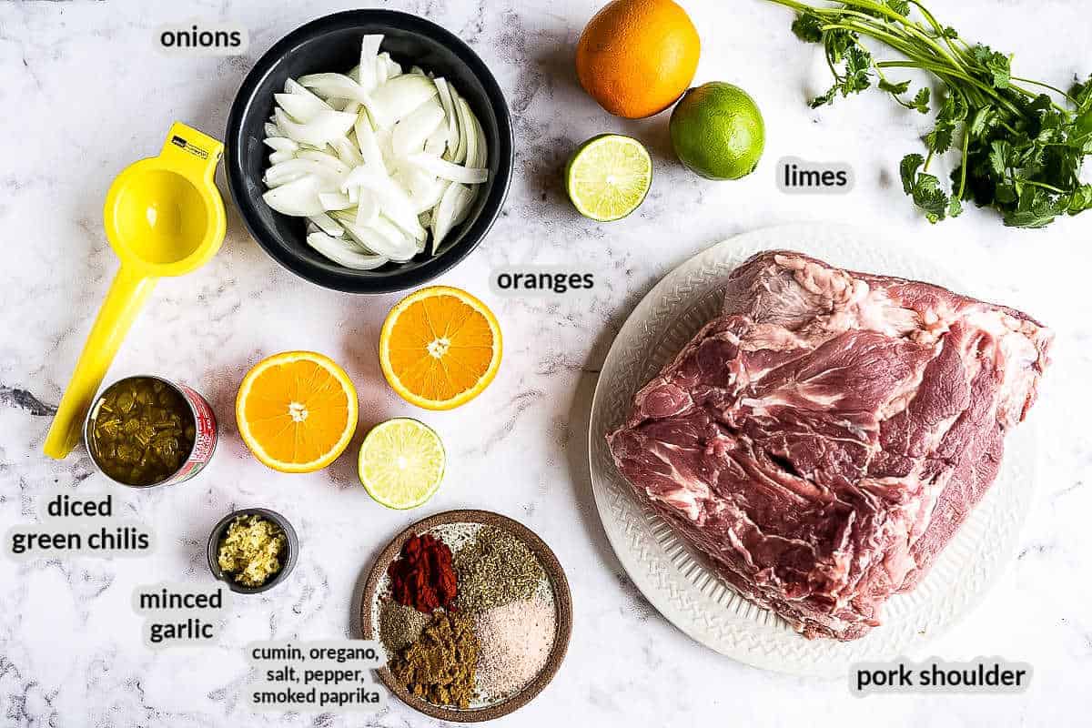 Overhead image of carnitas Ingredients