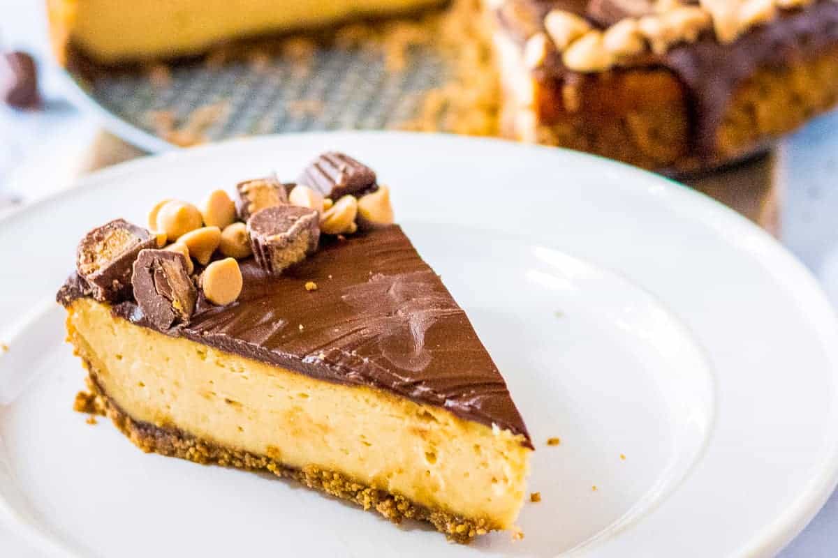 Slice of Peanut Butter Cup Cheesecake on white plate