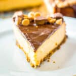 Peanut Butter Cup Cheesecake Square Cropped image
