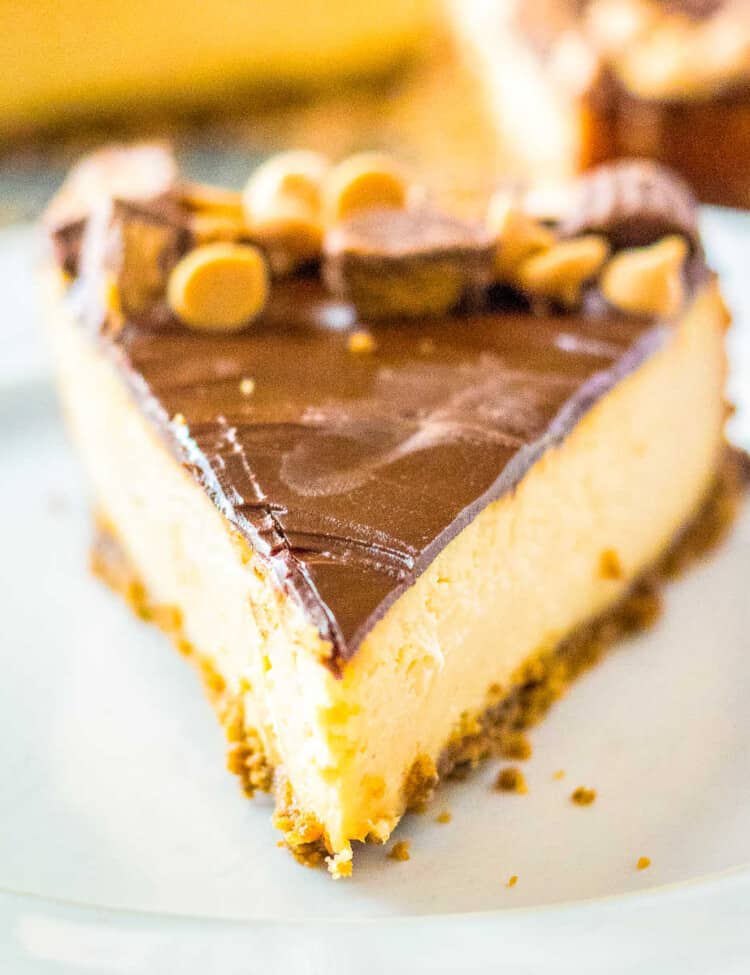 Peanut Butter Cup Cheesecake Square Cropped image