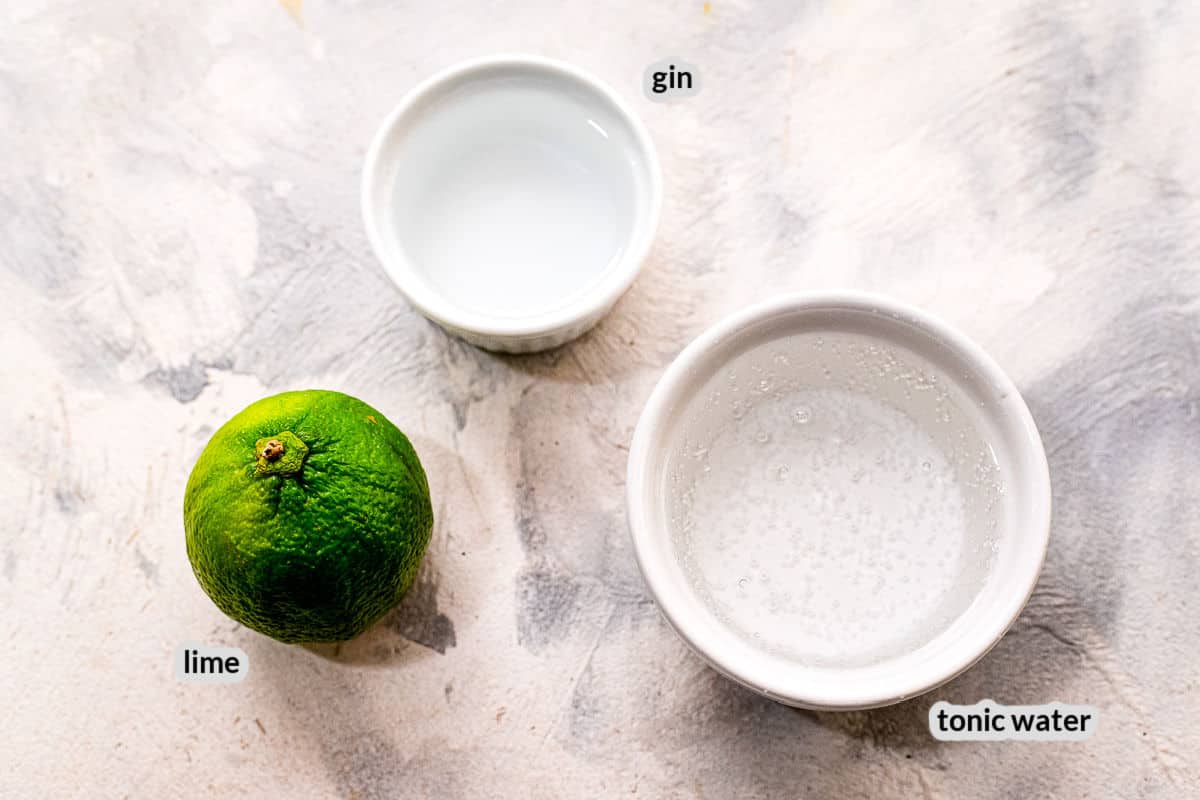 Overhead image of Gin and Tonic Ingredients